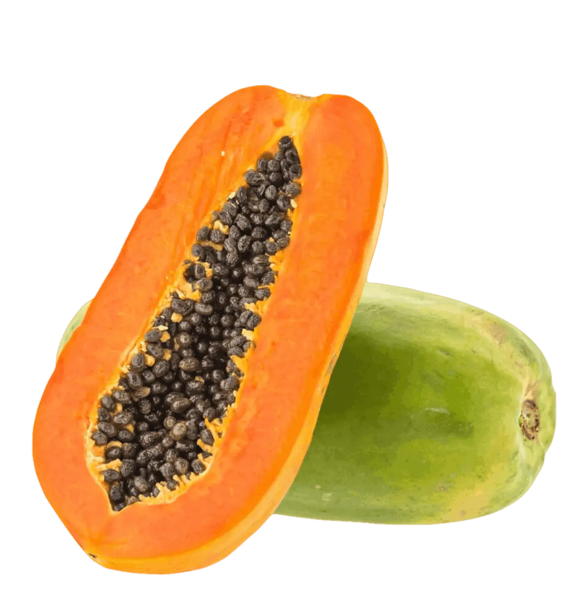 Papaya Land Global Trade